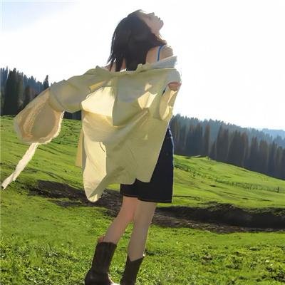 疯狂巨齿鲨